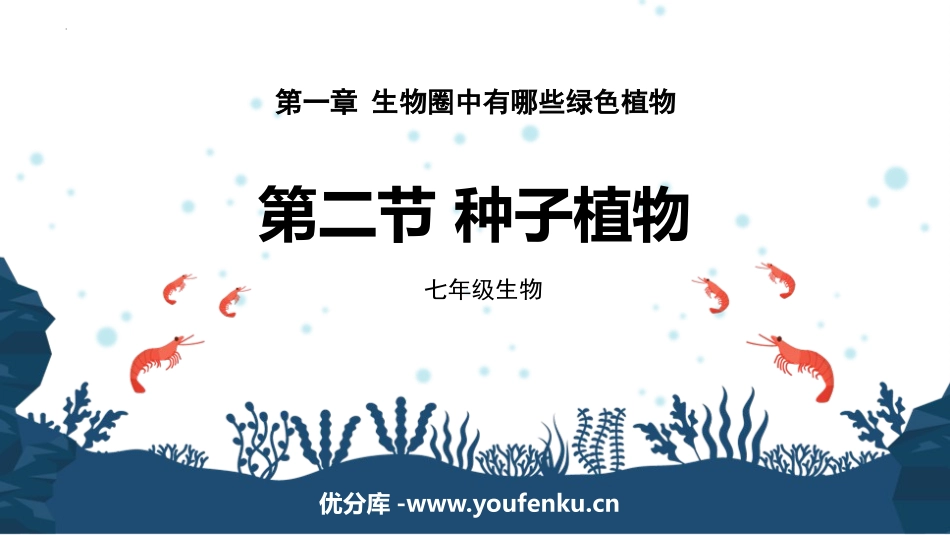 《种子植物》PPT课件[人教版七年级生物上册]_第1页