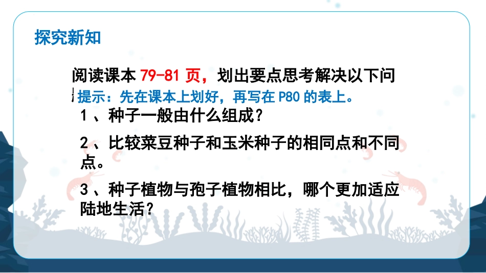 《种子植物》PPT课件[人教版七年级生物上册]_第3页