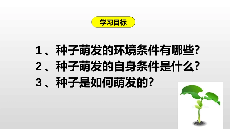 《种子的萌发》PPT优质课件[人教版七年级生物上册]_第2页