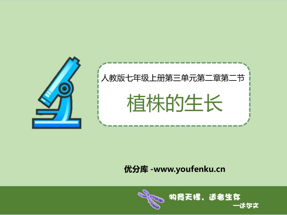 《植株的生长》PPT免费课件[人教版七年级生物上册]_第1页