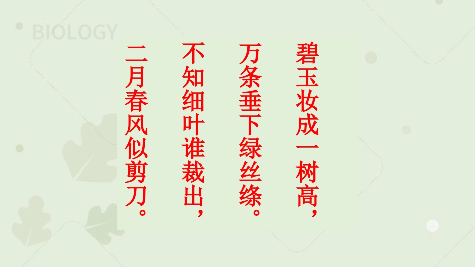 《植株的生长》PPT教学课件(第2课时)[人教版七年级生物]_第3页