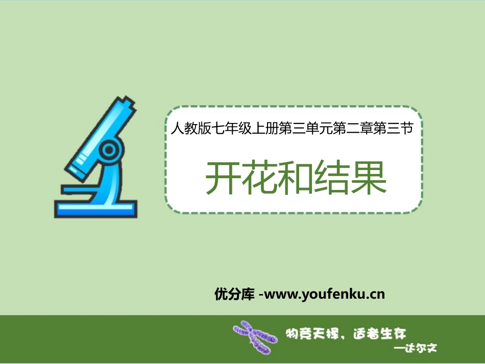 《开花和结果》PPT优质课件[人教版七年级生物上册]_第1页