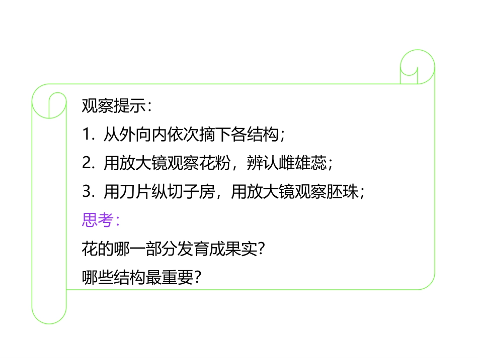 《开花和结果》PPT优质课件[人教版七年级生物上册]_第3页