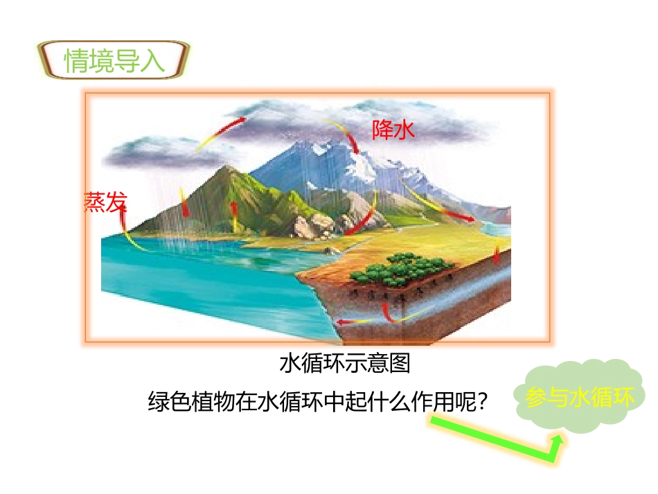 《绿色植物与生物圈的水循环》PPT课件[人教版七年级生物]_第2页