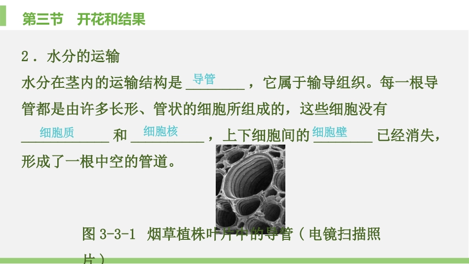 《绿色植物与生物圈的水循环》PPT免费课件(第1课时)_第3页