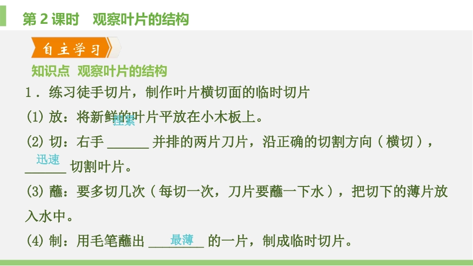 《绿色植物与生物圈的水循环》PPT免费课件(第2课时)_第2页