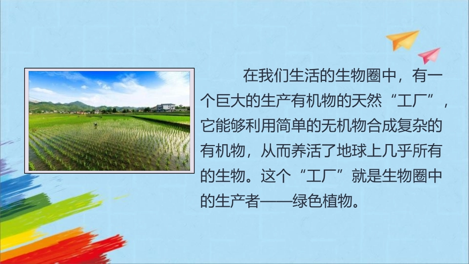 《绿色植物是生物圈中有机物的制造者》PPT免费课件(第1课时)_第3页