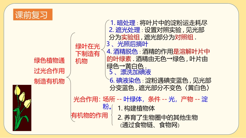 《光合作用吸收二氧化碳释放氧气》PPT课件[人教版七年级生物]_第2页