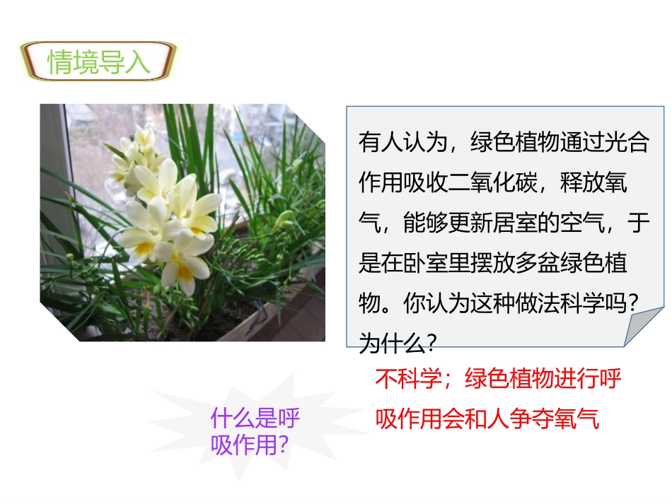 《绿色植物的呼吸作用》PPT精品课件[人教版七年级生物上册]_第2页