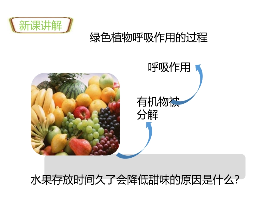 《绿色植物的呼吸作用》PPT精品课件[人教版七年级生物上册]_第3页