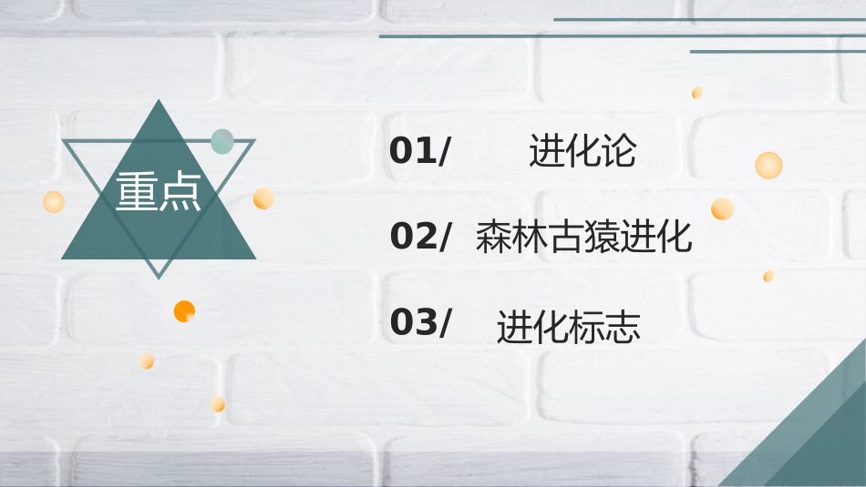 《人类的起源和发展》PPT教学课件[人教版七年级生物下册]_第2页