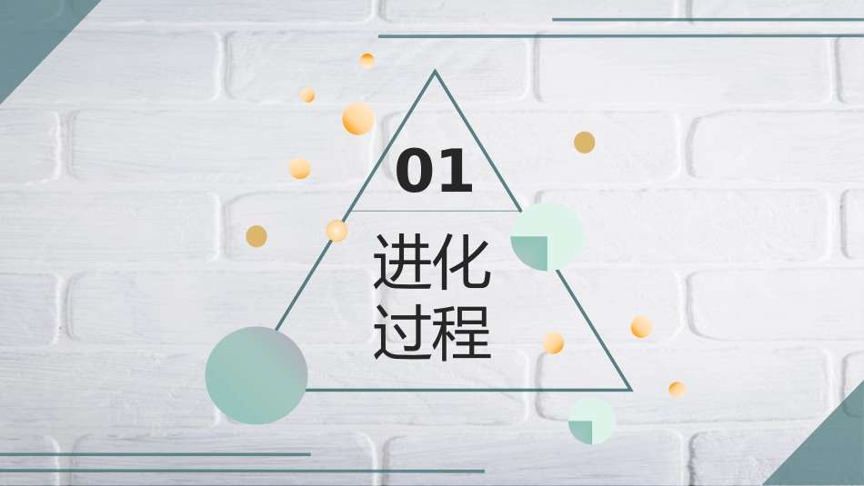 《人类的起源和发展》PPT教学课件[人教版七年级生物下册]_第3页