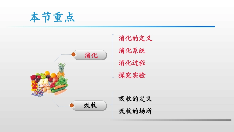 《消化和吸收》PPT课件[人教版七年级生物下册]_第3页