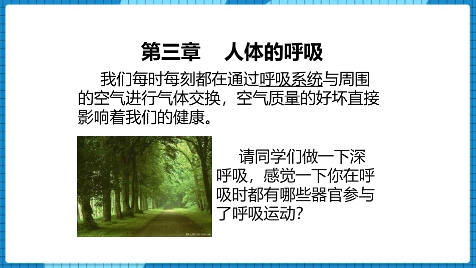 《呼吸道对空气的处理》PPT免费课件[人教版七年级生物下册]_第3页