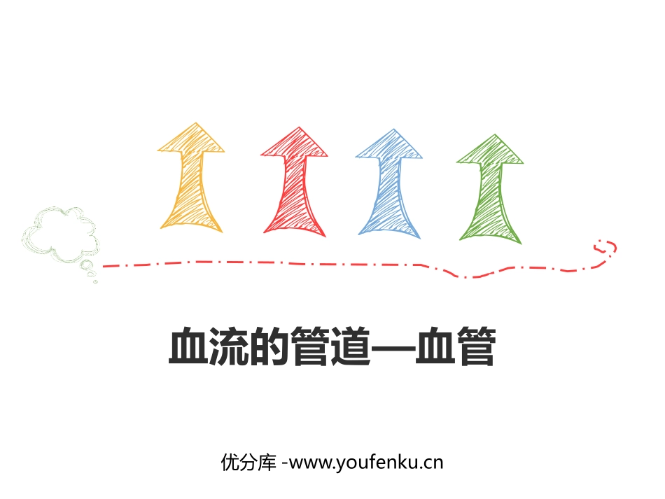 《血流的管道-血管》PPT课件[人教版七年级生物下册]_第1页