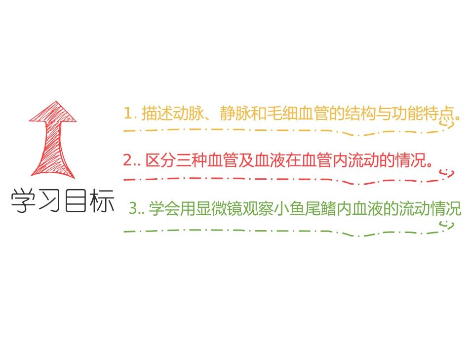 《血流的管道-血管》PPT课件[人教版七年级生物下册]_第2页