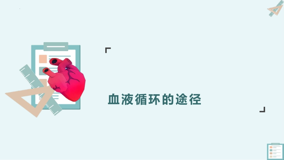 《输送血液的泵-心脏》PPT免费课件(第2课时)_第3页