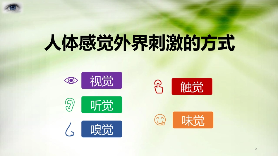 《人体对外界环境的感知》PPT课件[人教版七年级生物下册]_第2页