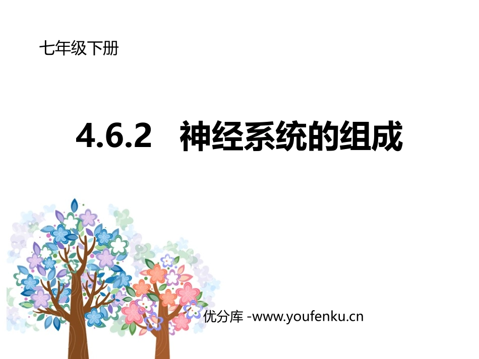 《神经系统的组成》PPT免费课件[人教版七年级生物下册]_第1页
