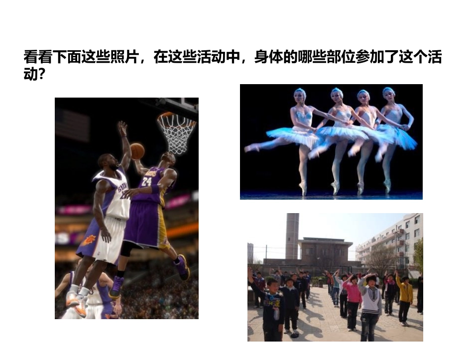 《神经系统的组成》PPT免费课件[人教版七年级生物下册]_第2页