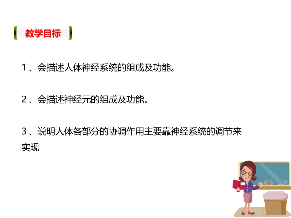 《神经系统的组成》PPT免费课件[人教版七年级生物下册]_第3页