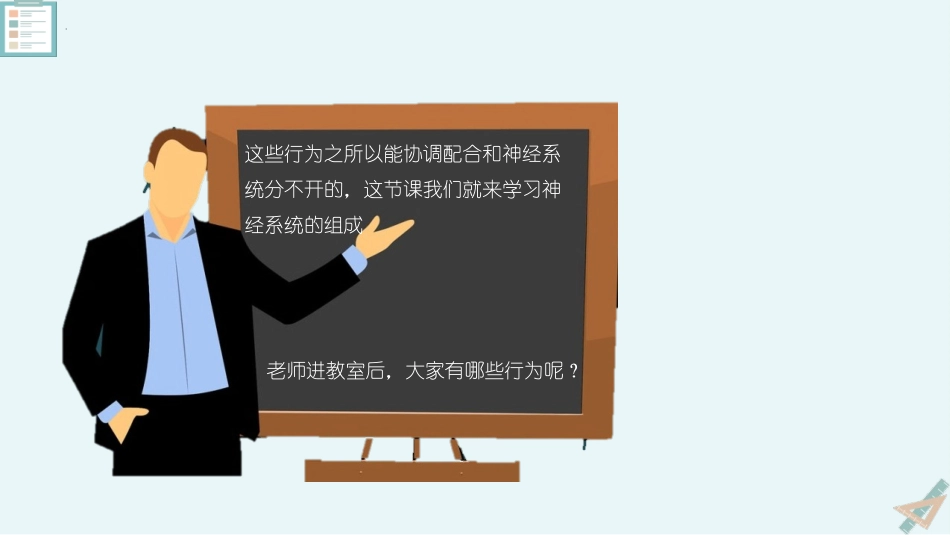 《神经系统的组成》PPT课件[人教版七年级生物下册]_第2页