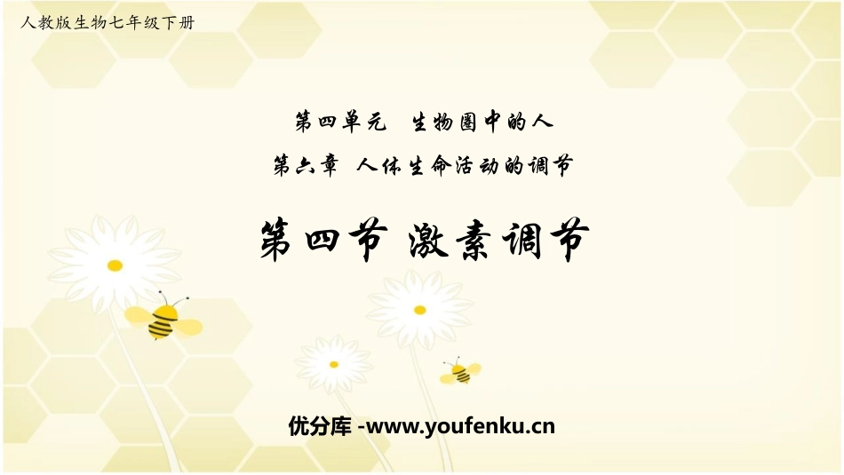《激素调节》PPT课件[人教版七年级生物下册]_第1页