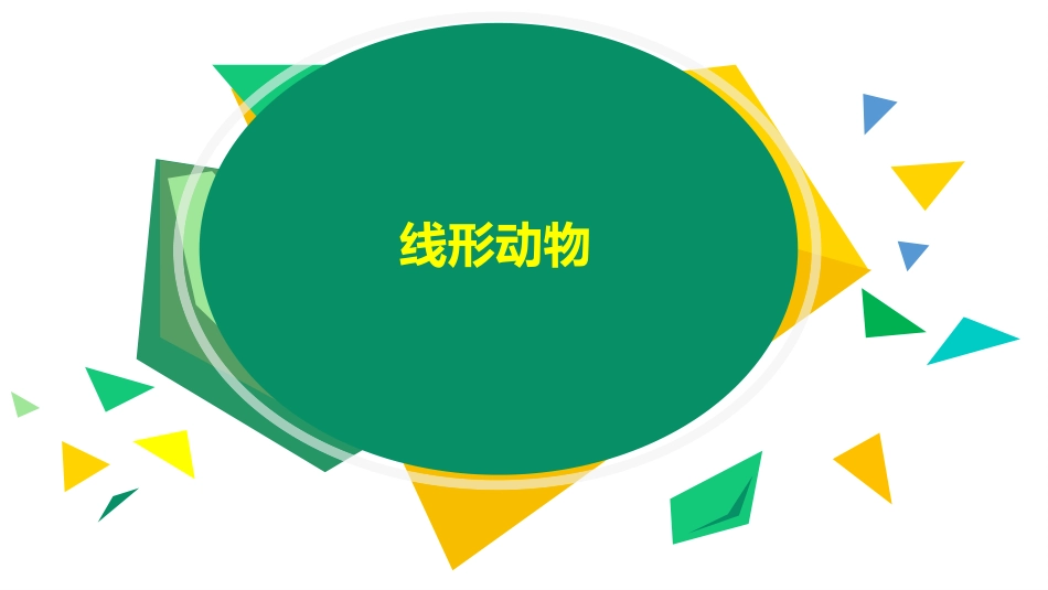 《线形动物和环节动物》PPT课件[人教版八年级生物上册]_第2页