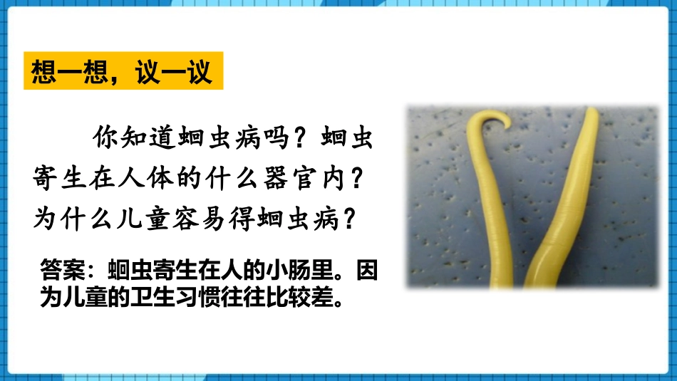 《线形动物和环节动物》PPT优秀课件[人教版八年级生物上册]_第2页