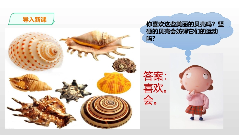 《软体动物和节肢动物》PPT免费课件[人教版八年级生物上册]_第2页