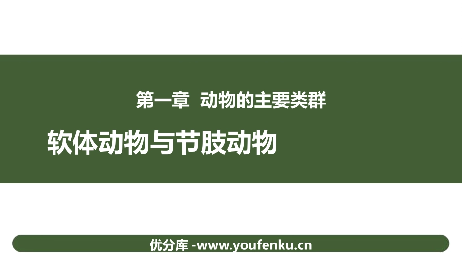 《软体动物和节肢动物》PPT课件[人教版八年级生物上册]_第1页