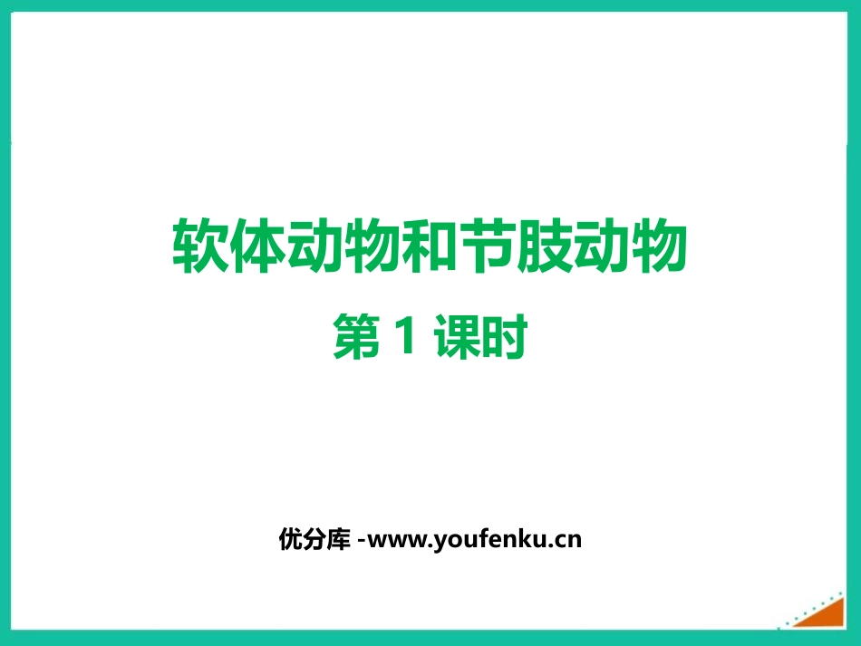 《软体动物和节肢动物》PPT精品课件(第1课时)_第1页