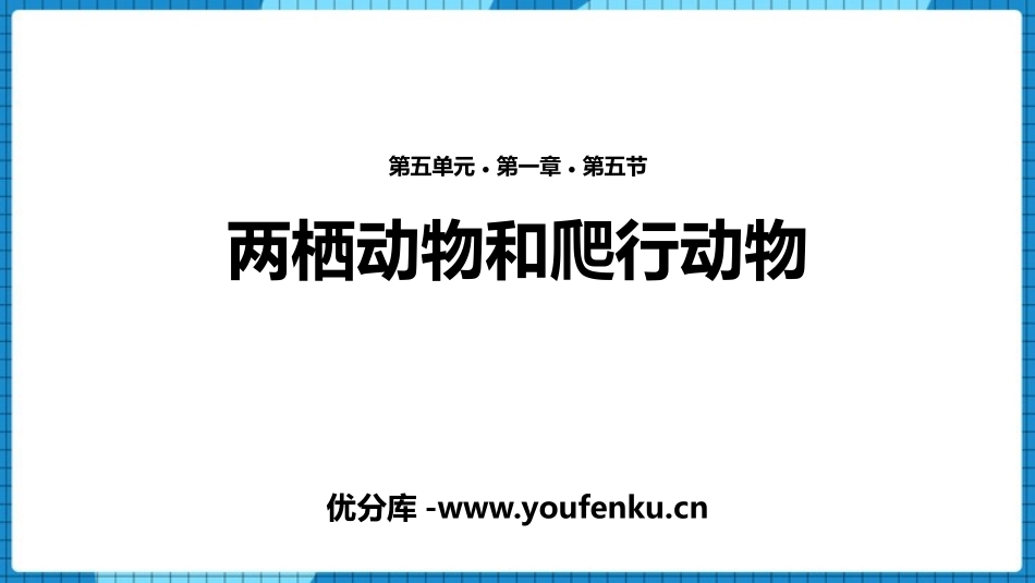 《两栖动物和爬行动物》PPT优秀课件[人教版八年级生物上册]_第1页