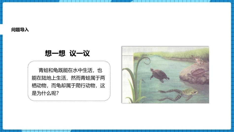 《两栖动物和爬行动物》PPT优秀课件[人教版八年级生物上册]_第2页