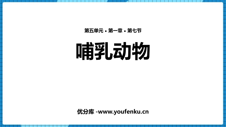 《哺乳动物》PPT优质课件[人教版八年级生物上册]_第1页