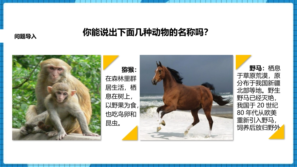 《哺乳动物》PPT优质课件[人教版八年级生物上册]_第2页