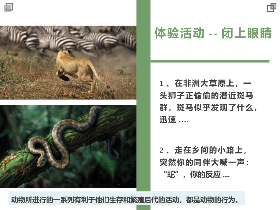 《动物的运动》PPT课件[人教版八年级生物上册]_第2页
