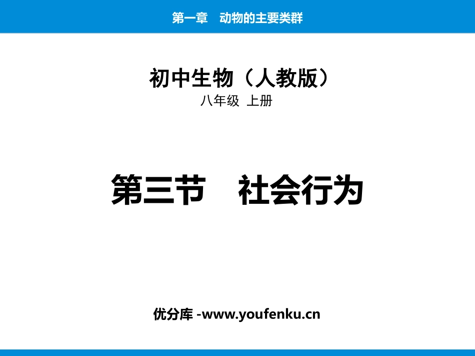 《社会行为》PPT免费课件[人教版八年级生物上册]_第1页