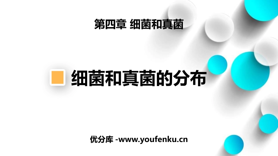 《细菌和真菌的分布》PPT课件[人教版八年级生物上册]_第1页