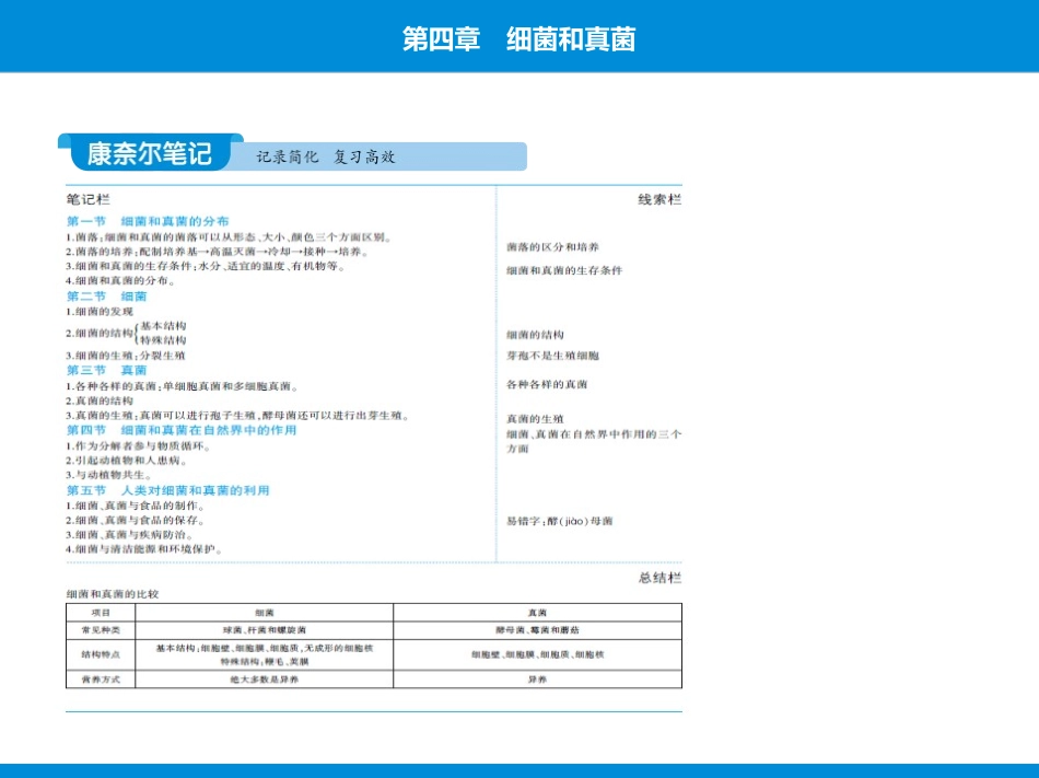 《细菌和真菌的分布》PPT优质课件[人教版八年级生物上册]_第2页