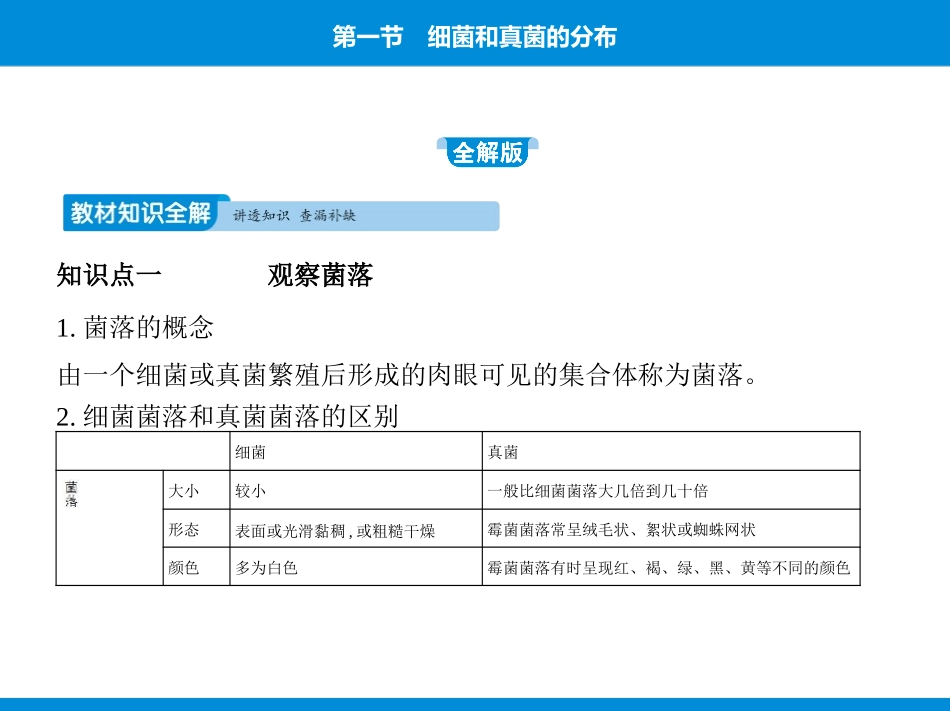 《细菌和真菌的分布》PPT优质课件[人教版八年级生物上册]_第3页
