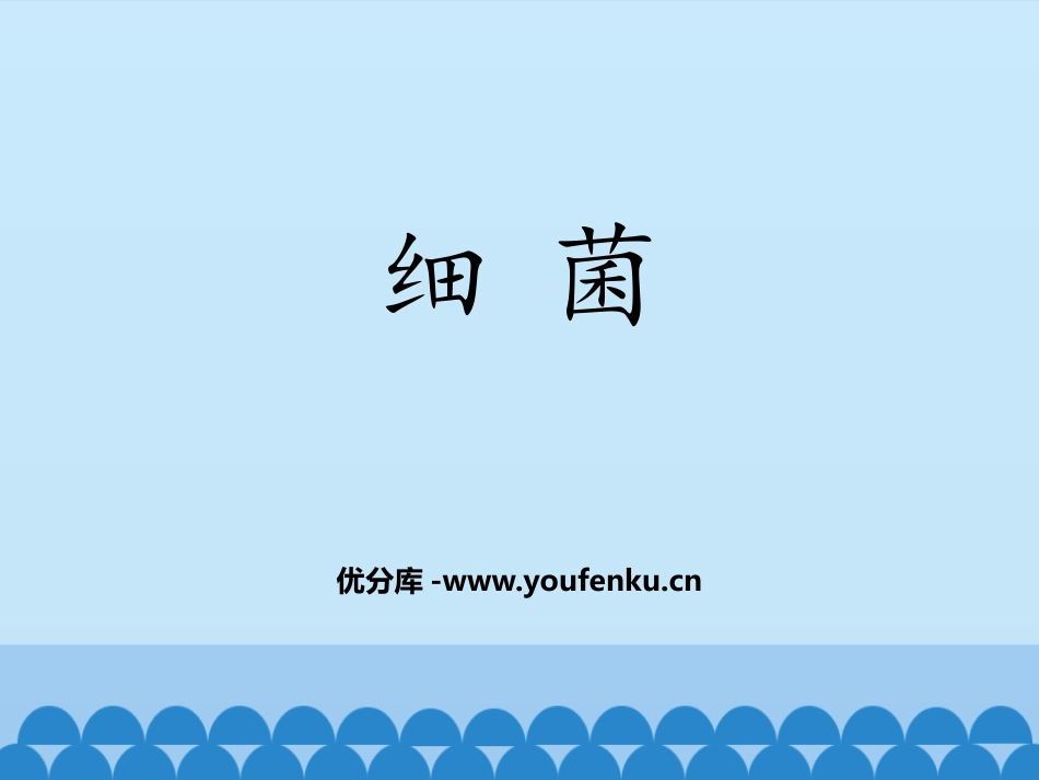 《细菌》PPT免费课件[人教版八年级生物上册]_第1页