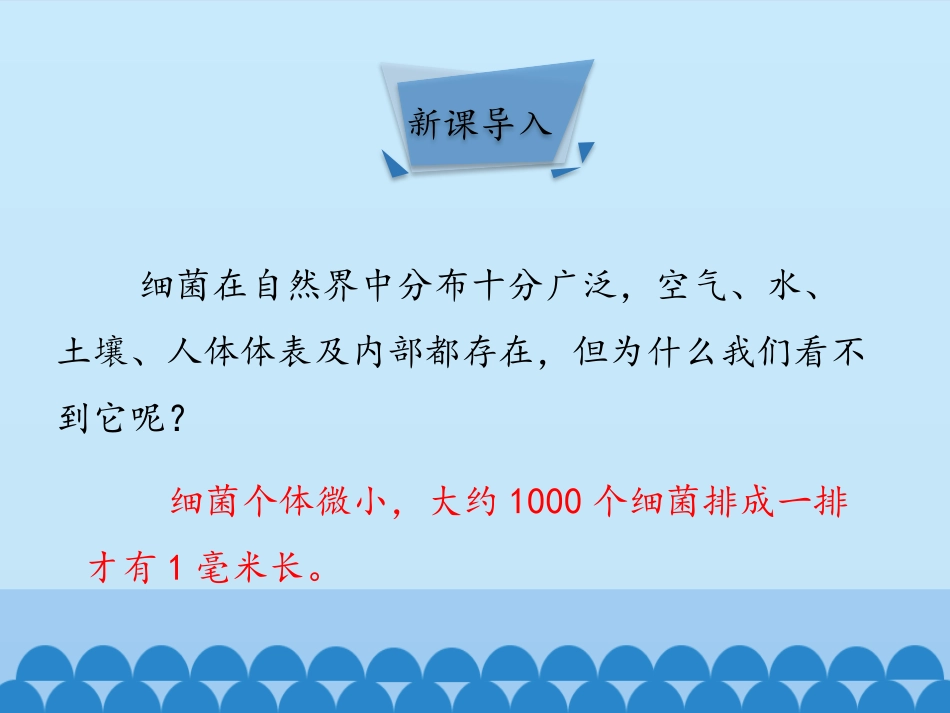 《细菌》PPT免费课件[人教版八年级生物上册]_第2页