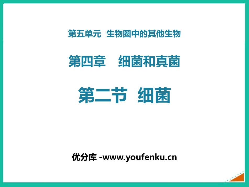 《细菌》PPT课件[人教版八年级生物上册]_第1页