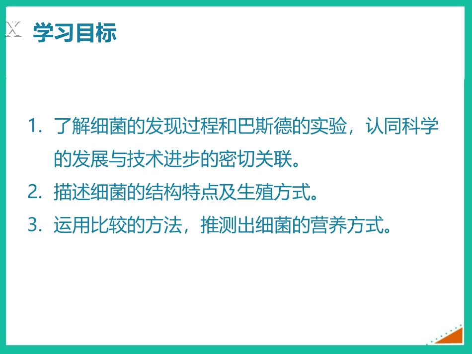 《细菌》PPT课件[人教版八年级生物上册]_第2页