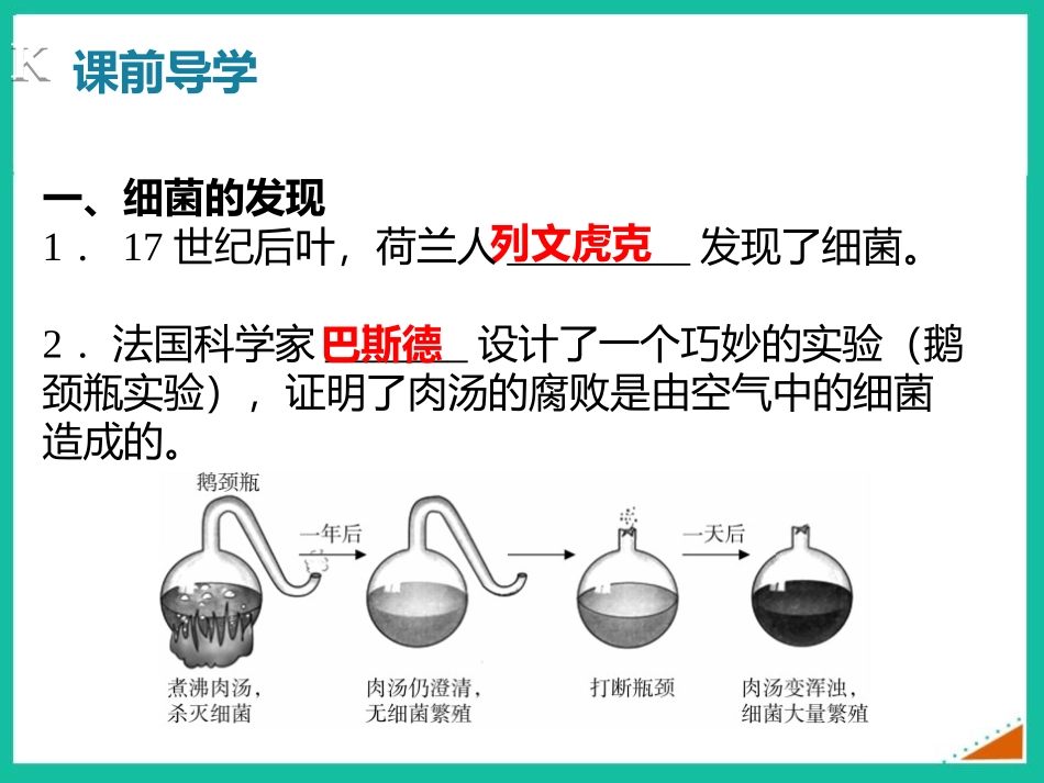 《细菌》PPT课件[人教版八年级生物上册]_第3页