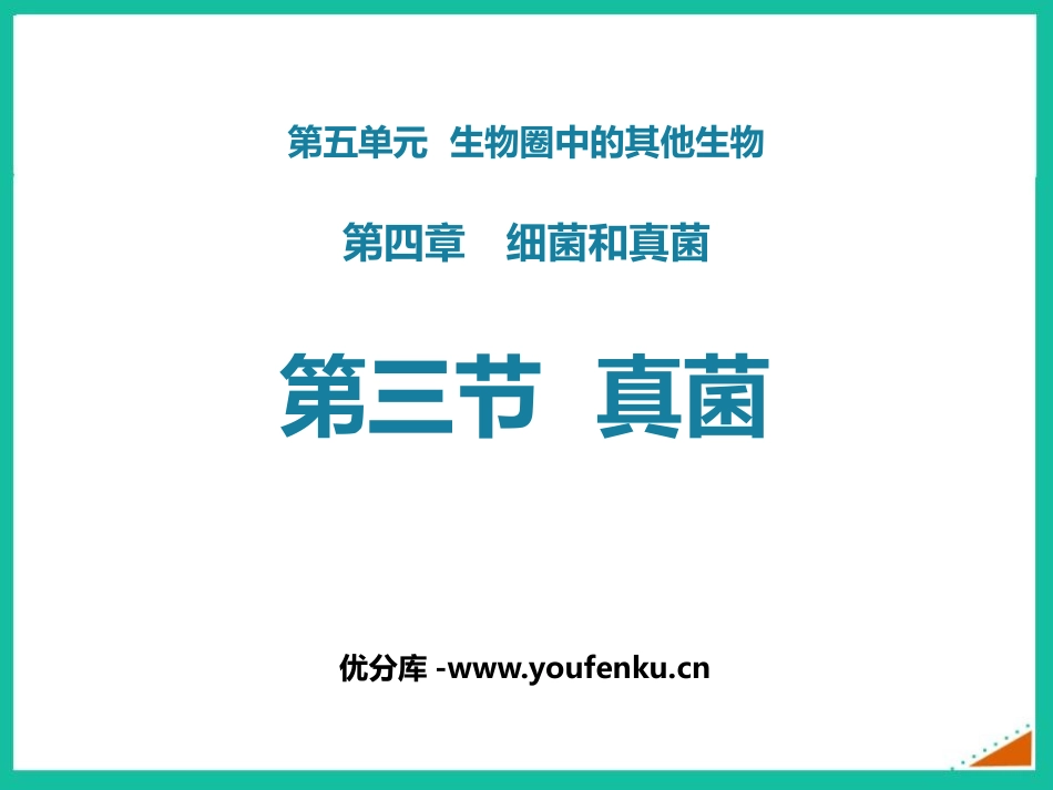 《真菌》PPT课件[人教版八年级生物上册]_第1页