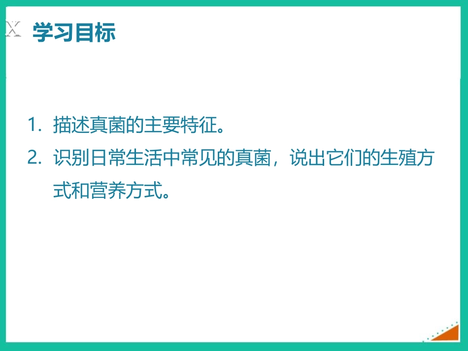 《真菌》PPT课件[人教版八年级生物上册]_第2页