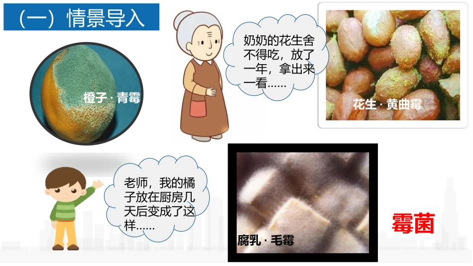 《真菌》PPT优秀课件[人教版八年级生物上册]_第2页