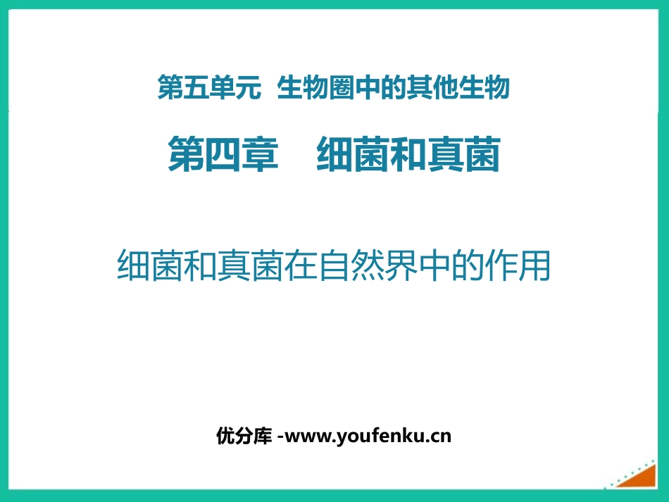 《细菌和真菌在自然界中的作用》PPT免费课件[人教版八年级生物]_第1页